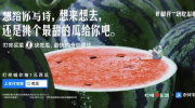娱乐吃瓜文案图片,吃瓜群众视角下的幕后花絮大公开