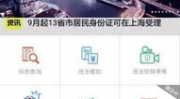 上海电子警察查询,便捷高效，守护交通秩序