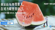 吃瓜娱乐图片文案,揭秘娱乐圈幕后趣闻