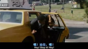 娱乐吃瓜酱男友追公交车,娱乐吃瓜酱现场直播浪漫一幕