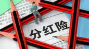 分红保险,双重保障与投资收益的完美融合